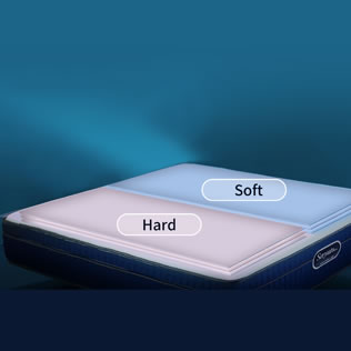 左右分区脊支撑弹簧